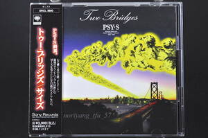 帯付 ベスト盤☆ PSY・S (saiz) TWO BRIDGES / サイズ トゥー・ブリッジズ ■94年盤 全15曲 CD 2nd BEST / ベスト アルバム SRCL-3600 美品