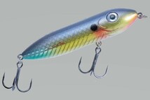 Heddon　ヘドン　スーパースプークボイオ　HBS Wounded Shad_画像1