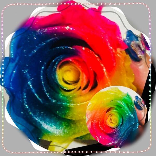 ( 加工･大薔薇／Rainbow専用ﾍﾟｰｼﾞ／ﾗﾒ付･3輪！／color選択有 ) 加工 ﾌﾟﾘｻﾞｰﾌﾞﾄﾞ花材 薔薇 