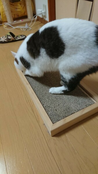 猫の爪研ぎ 木製ケース