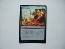 バイン　MTG 造命物の目覚め/Lifecraft Awakening foil 日本語2枚_画像1