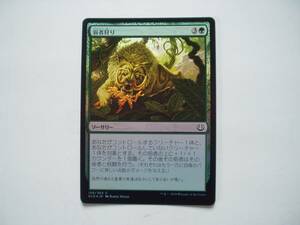 バイン　MTG 弱者狩り/Hunt the Weak foil 日本語1枚