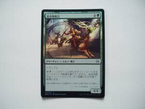 バイン　MTG 造命物騎兵/Lifecraft Cavalry foil 日本語1枚