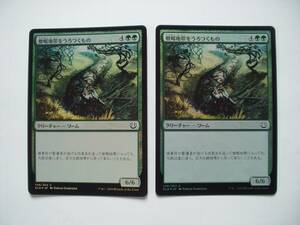 バイン　MTG 僧帽地帯をうろつくもの/Cowl Prowler foil 日本語2枚