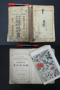 師範学校　植物教科書　陸軍教授　安藤伊三次郎　大正５年　Ｎ-３５