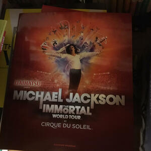 MICHAEL JACKSON THE IMMORTAL WORLD パンフ