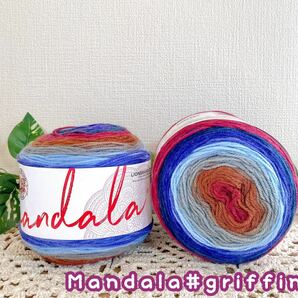 【p115】mandala＊2玉セット＊1玉150g540m＊cakeyarn＊LIONBRAND