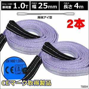 CE規格品 ナイロンベルトスリング 25mm×4m ストレート吊 1T【2本セット】両端アイ型 建築 吊具/21