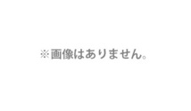 (HiKOKI) 研磨ベルト 20枚入 粒度60 SB3602DA専用 0037-7028 ジルコニア(Z) 金属研削全般 20mmx520mm 00377028 日立 ハイコーキ_画像1