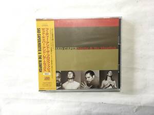 HOOTIE & THE BLOWFISH SAD CAPER PROMO 新品