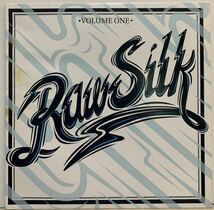 極上アーバン・シンセ・ファンク ☆ Various - Raw Silk Volume One /Omega Supreme /Benedek / sasac /Dam Funk_画像1