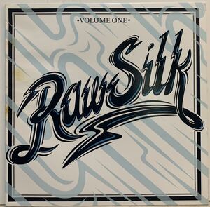 極上アーバン・シンセ・ファンク ☆ Various - Raw Silk Volume One /Omega Supreme /Benedek / sasac /Dam Funk