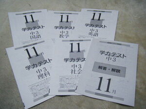 Paypayフリマ 育伸社 19 年度 過去在庫分 学力テスト 送料込 小 中学生 国語 数学 算数 理科 社会 英語 Paypayフリマ 育伸社 19 年度 過去在庫分 学力テスト 送料込 小 中学生 国語 数学 算数 理科 社会 英語