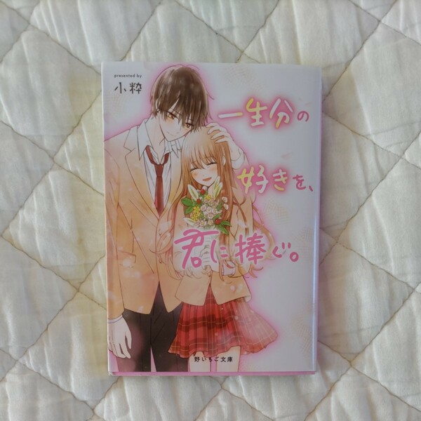 一生分の好きを、君に捧ぐ。 （野いちご文庫　Ｎこ３－１） 小粋／著