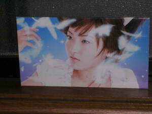 国内盤CD SAYAKA／eversince