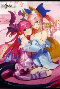 PS4/PS VITA Fate/EXTELLA WonderGOO購入特典 玉藻の前＆エリザベート=バートリー 描き下ろしB2タペストリー