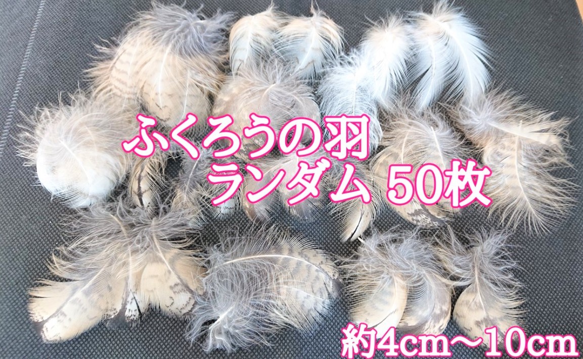 超新作】 茶道具 羽箒 鴻鶴 こうかく こうつる 右羽 風炉用 新品未使用
