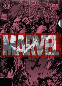 MARVEL　A4クリアファイル　1枚　中古　漫画　映画