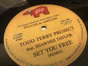 12”★The Todd Terry Project / Set You Free / ヴォーカル・ハウス！