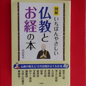 「図解 いちばんやさしい仏教とお経の本」 沢辺 有司 558-5I1101-b21 定価: ￥ 880 