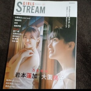 【未読品・切抜無】GIRLS STREAM vol.2