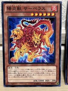 遊戯王　陽炎獣　サーベラス　3枚セット　CBLZ-JP028　①