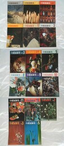 小原流挿花　17冊不揃/1973年9-5月,8-12月,1975年2,3,5月