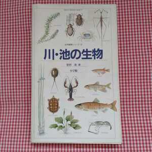 【送料無料】川池の生物 自然観察シリーズ９／菅野徹 (著者)