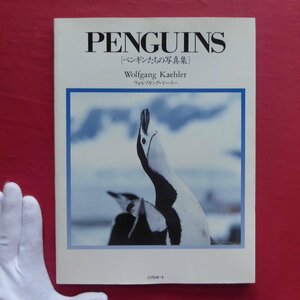 z37/ウォルフガング・ケーラー【ペンギンたちの写真集:PENGUINS/リブロポート・1991年】