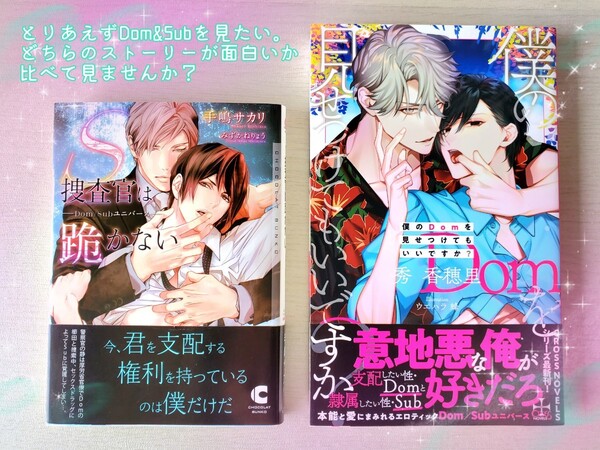 BL小説/捜査官は跪かない、僕のDomを見せつけてもいいですか、秀香穂里dom&subユニバース/年上攻/支配/奴隷/両思い 2冊