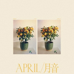 [MUSIC] 試聴即決★EMMY THE GREAT / APRIL / 月音 (LP)