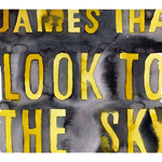 [MUSIC] 試聴即決★ジェームス・イハ (JAMES IHA) / ルック・トゥ・ザ・スカイ (LOOK TO THE SKY) (LP) / 再発盤 / レコードの日2020