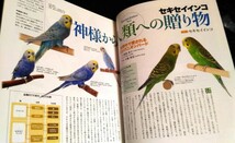 コンパニオンバードNo.14/セキセイインコ特集★小鳥　旭山動物園の鳥たち_画像3