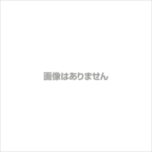 ダイハツ マックス L950S イグニッションコイル 1本 半年保証 純正同等品 1本 90048-52126 90048-52125 互換品 スパークプラグ_画像3