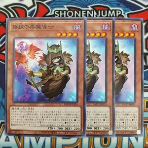 15519☆遊戯王☆ 熟練の栗魔導士 3枚 ノーマル BACH