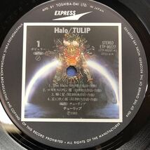 S LP TULIP チューリップ Halo レコード 財津和夫 5点以上落札で送料無料_画像3