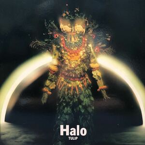 S LP TULIP チューリップ Halo レコード 財津和夫 5点以上落札で送料無料