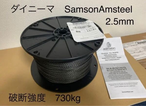 SAMSON AMSTEEL 黒2.5mm×10m