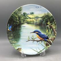 ウェッジウッド 川蝉 カワセミ 鳥 飾り皿 絵皿 (794)_画像1