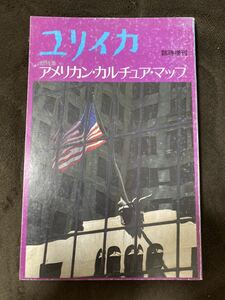 K154-21/ユリイカ 臨時増刊 青土社 アメリカン・カルチュア・マップ 市川幸雄 志村正雄 白石美雪 東野芳明 彦坂裕 金関寿夫 金子隆一