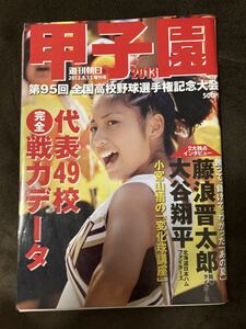 K159-28/甲子園2013 週刊朝日 第95回全国高校野球選手権 2013年8月15日 代表49校完全戦力データ 藤浪晋太郎 大谷翔平