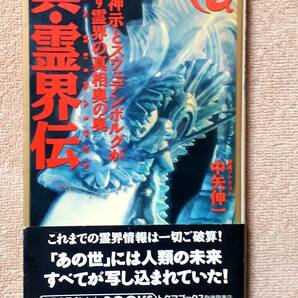 送料無料！　古書　真・霊界伝 日月神示とスウェデンボルグが明かす霊界の真相奥の奥　中矢伸一　徳間書店　１９９３年　初版　憑霊 中有界