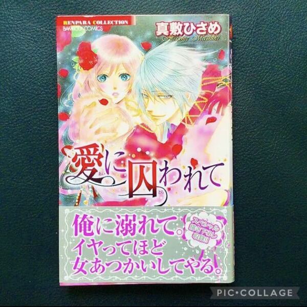 TLコミック 真敷ひさめ 愛に囚われて 少女漫画 竹書房 帯付 白泉社 女性