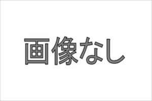 スイフト テンパータイヤ固定キット 下敷き スズキ純正部品 ZC53S ZD53S パーツ オプション