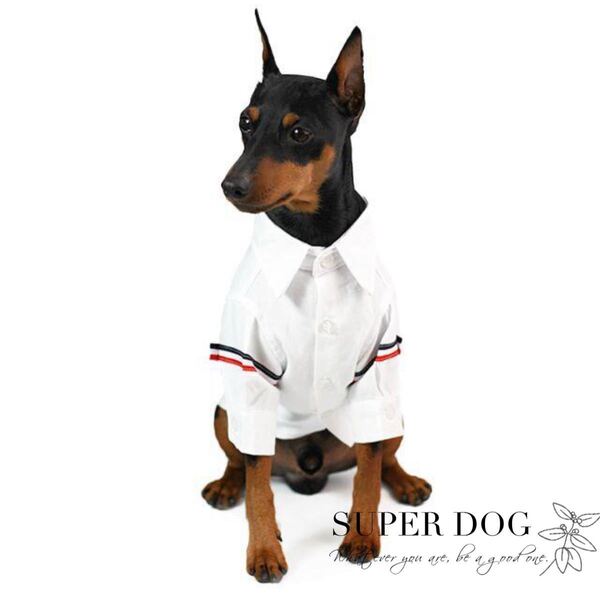 犬服 犬の服 ペット服ドッグウェア 襟付き無地シャツボタン かわいい おしゃれ