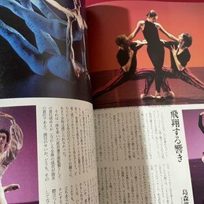 ｓ◎◎ 1995年11月号 DANCE MAGAZINE ダンスマガジン 速報 ピエトラガラ 特別企画 「コッペリア」の恋 書籍 雑誌   / K19上の画像3