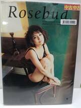 中古写真集/9784821122486/小林千香子 写真集 Rosebud ぶんか社_画像1