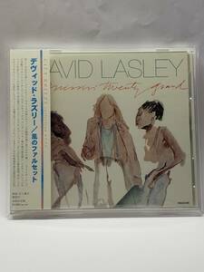 DAVID LASLEY／MISSIN' TWENTY GRAND／デヴィッド・ラズリー／風のファルセット／国内盤CD／帯付／1982年発表／1stソロ・アルバム／廃盤