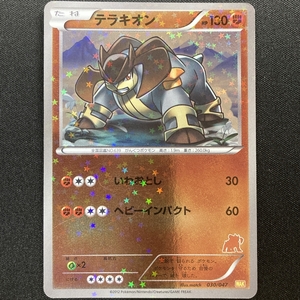 Terrakion No.030/047 Pokemon Card WAKUWAKU Battle Holo Japanese 2012 ポケモン カード テラキオン ポケカ ホロ 210711