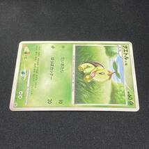 Turtwig 005/DP-P DP Meiji Promo Pokemon Card Japanese ポケモン カード ナエトル 明治 ポケカ プロモ 220127_画像3